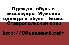 Одежда, обувь и аксессуары Мужская одежда и обувь - Бельё. Ставропольский край